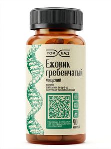 ТОРБАД, Ежовик гребенчатый с холином и гинкго билоба, капсулы, 90 шт.