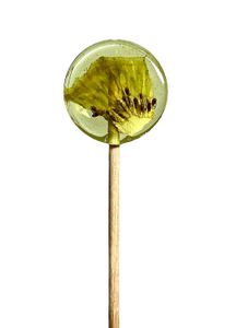 Lollipops, Леденец на палочке из изомальта с сублимированным киви, 1 шт.