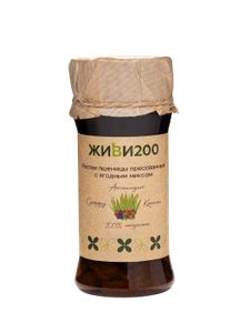 Живи200, Витграсс с сушеными ягодами (детокс, поддержка иммунитета), таблетки, 140 шт.