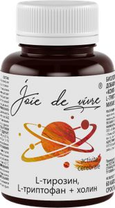 Joie de vivre, Комлекс L-Тирозин, L-Триптофан+Холин (для повышения работоспособности), капсулы, 60 шт.